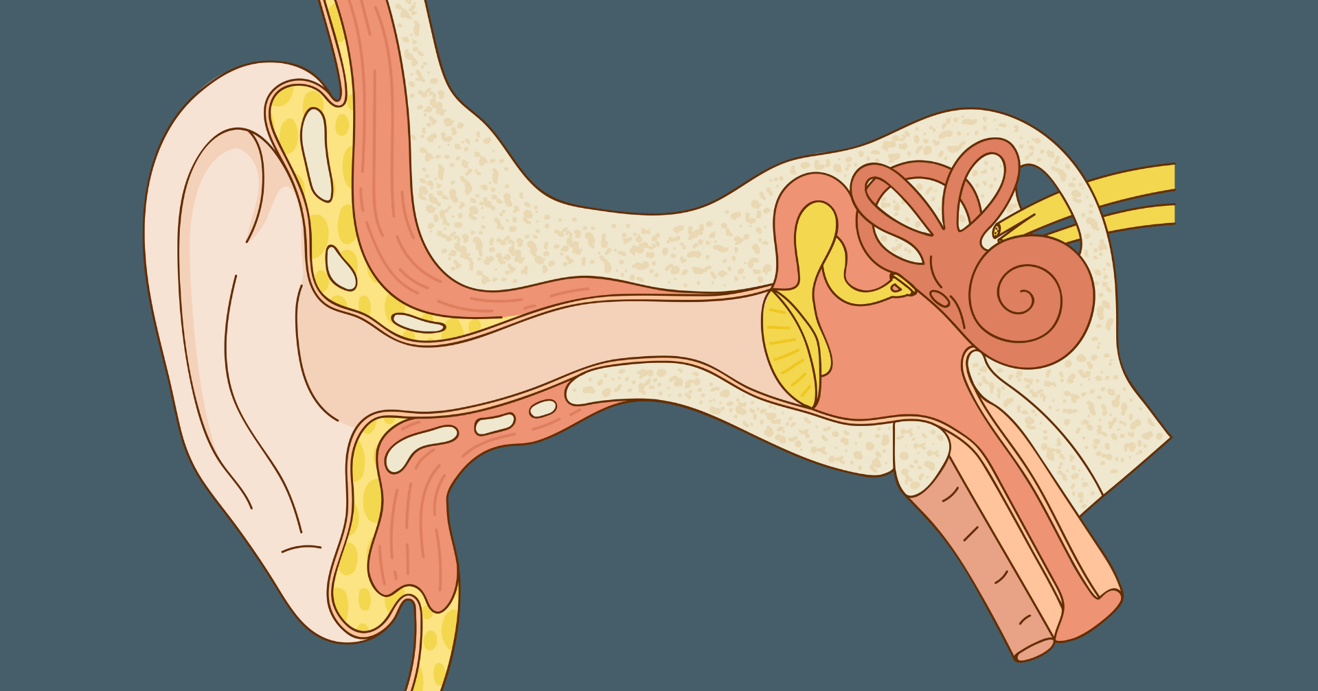 IVRT® - Neuritis vestibularis: Prognose bei Ganznerv-Beteiligung